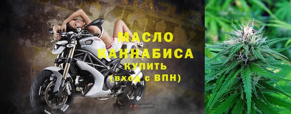 дмт Алексин